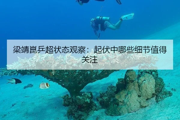 梁靖崑乒超状态观察：起伏中哪些细节值得关注